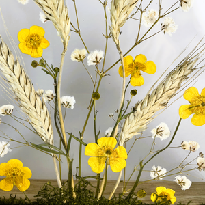 Préselt sárga boglárka virágok búzakalászokkal fa keretben 16 x 21 cm - otthon & életmód - dekoráció - kép & falikép - üvegkép - Meska.hu