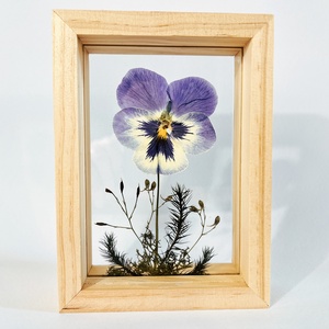 Valentin napra Préselt Árvácska natúr fa keretben 10.6 x 15 x 4.1 cm, Otthon & Életmód, Dekoráció, Kép & Falikép, Képkeret, , MESKA