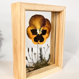 Préselt  bordó árvácska natúr fa keretben 10.6 x 15 x 4.1 cm - otthon & életmód - dekoráció - kép & falikép - képkeret - Meska.hu