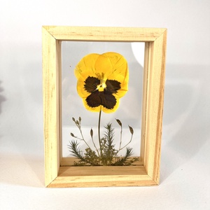 Préselt napsárga árvácska natúr fa keretben 10.6 x 15 x 4.1 cm, Otthon & Életmód, Dekoráció, Kép & Falikép, Képkeret, , MESKA
