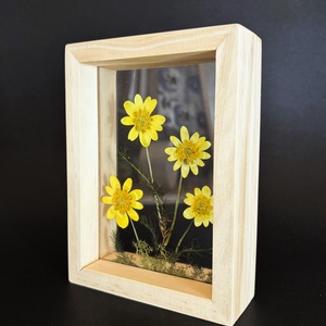 Nagyfejű boglárkák lebegő natúr fa keretben 10.6 x 15 x 4.1 cm - otthon & életmód - dekoráció - kép & falikép - képkeret - Meska.hu