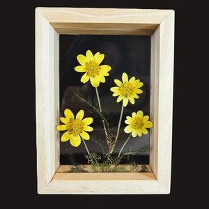 Nagyfejű boglárkák lebegő natúr fa keretben 10.6 x 15 x 4.1 cm, Otthon & Életmód, Dekoráció, Kép & Falikép, Képkeret, , MESKA