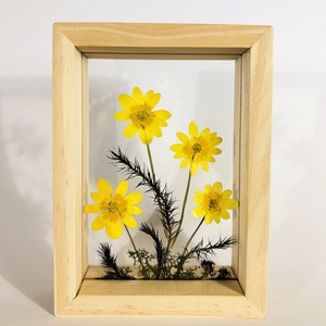 Nagyfejű boglárkák lebegő natúr fa keretben 10.6 x 15 x 4.1 cm - otthon & életmód - dekoráció - kép & falikép - képkeret - Meska.hu