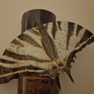 Bambusz kulcstartó tűzzománc kardos lepke (pillangó) dekorral - otthon & életmód - dekoráció - fali és függő dekoráció - fali kulcstartó - Meska.hu