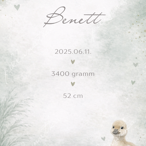 Megérkeztem � Kacsás babaköszöntő kártya (digitális) - baba - mama - babaemlékek - bababejelentők - Meska.hu