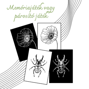 Kontrasztos fejlesztő kártyák (nyomtatható pdf) - játék & sport - készségfejlesztő és logikai játék - memória játékok - Meska.hu