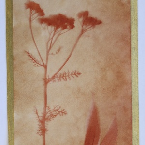 Növénylenyomat - eco art képeslap, Otthon & Életmód, Papír, írószer, Ajándékozás kellékei, Képeslap, üdvözlőlap, Festészet, Papírművészet, MESKA