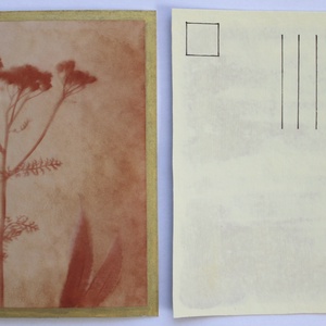 Növénylenyomat - eco art képeslap - otthon & életmód - papír, írószer - ajándékozás kellékei - képeslap, üdvözlőlap - Meska.hu