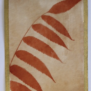 Növénylenyomat - eco art képeslap, Otthon & Életmód, Papír, írószer, Ajándékozás kellékei, Képeslap, üdvözlőlap, Festészet, Papírművészet, MESKA