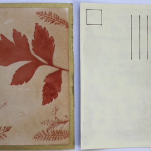 Növénylenyomat - eco art képeslap - otthon & életmód - papír, írószer - ajándékozás kellékei - képeslap, üdvözlőlap - Meska.hu