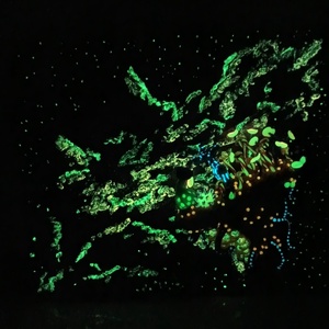 Nebulagombák - Mixed media festmény - művészet - festmény - festmény vegyes technika - Meska.hu