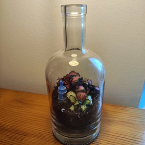 Florárium újrahasznosított gines üvegből, Otthon & Életmód, Dekoráció, Asztal és polc dekoráció, Florárium, terrárium, Mindenmás, MESKA