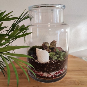 Florárium kagylóval, Otthon & Életmód, Dekoráció, Asztal és polc dekoráció, Florárium, terrárium, Mindenmás, MESKA