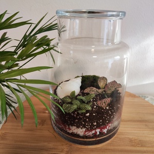 Florárium kagylóval - otthon & életmód - dekoráció - asztal és polc dekoráció - florárium, terrárium - Meska.hu