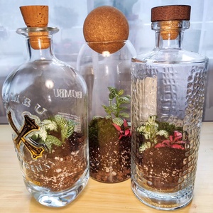 Florárium újrahasznosított üvegben - otthon & életmód - dekoráció - asztal és polc dekoráció - florárium, terrárium - Meska.hu