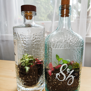 Florárium újrahasznosított üvegben - otthon & életmód - dekoráció - asztal és polc dekoráció - florárium, terrárium - Meska.hu