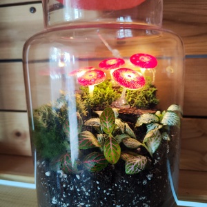 Világító gombás florárium - otthon & életmód - dekoráció - asztal és polc dekoráció - florárium, terrárium - Meska.hu