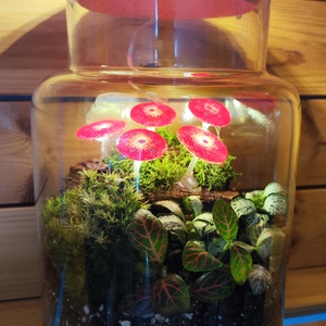 Világító gombás florárium - otthon & életmód - dekoráció - asztal és polc dekoráció - florárium, terrárium - Meska.hu