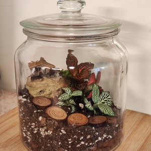 Florárium házikóval, Otthon & Életmód, Dekoráció, Asztal és polc dekoráció, Florárium, terrárium, Mindenmás, MESKA