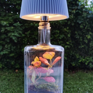 Florárium lámpa - otthon & életmód - lámpa - hangulatlámpa - Meska.hu