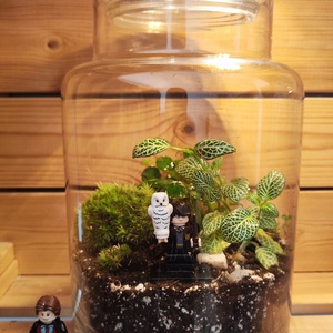 Florárium Harry Potter figurával, Otthon & Életmód, Dekoráció, Asztal és polc dekoráció, Florárium, terrárium, Mindenmás, MESKA