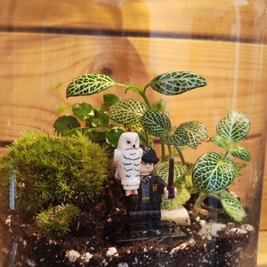 Florárium Harry Potter figurával - otthon & életmód - dekoráció - asztal és polc dekoráció - florárium, terrárium - Meska.hu