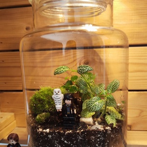 Florárium Harry Potter figurával - otthon & életmód - dekoráció - asztal és polc dekoráció - florárium, terrárium - Meska.hu