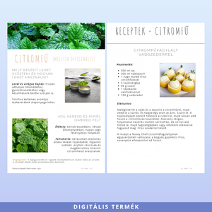 Nyári ehető vadnövények � 9 növény, 18 recept és gyűjtési útmutató (PDF) - otthon & életmód - konyhafelszerelés, tálalás - sütés, főzés - receptfüzet - Meska.hu