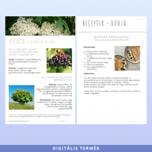 Nyári ehető vadnövények � 9 növény, 18 recept és gyűjtési útmutató (PDF) - otthon & életmód - konyhafelszerelés, tálalás - sütés, főzés - receptfüzet - Meska.hu
