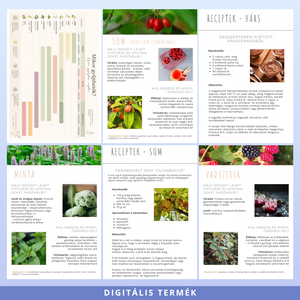 Nyári ehető vadnövények � 9 növény, 18 recept és gyűjtési útmutató (PDF) - otthon & életmód - konyhafelszerelés, tálalás - sütés, főzés - receptfüzet - Meska.hu