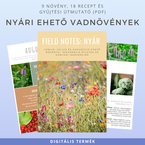 Nyári ehető vadnövények � 9 növény, 18 recept és gyűjtési útmutató (PDF) - Meska.hu