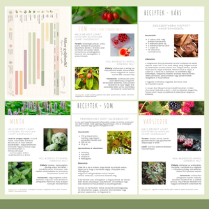Nyári ehető vadnövények � 9 növény, 18 recept és gyűjtési útmutató (PDF) - otthon & életmód - konyhafelszerelés, tálalás - sütés, főzés - receptfüzet - Meska.hu