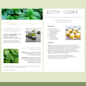 Nyári ehető vadnövények � 9 növény, 18 recept és gyűjtési útmutató (PDF) - otthon & életmód - konyhafelszerelés, tálalás - sütés, főzés - receptfüzet - Meska.hu