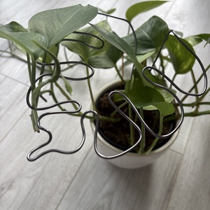 Grafit monstrea körülölelő - otthon & életmód - dekoráció - virágdísz és tartó - virágtartó - Meska.hu Grafit monstrea körülölelő - otthon & életmód - dekoráció - virágdísz és tartó - virágtartó - Meska.hu