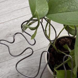 Grafit monstrea körülölelő - otthon & életmód - dekoráció - virágdísz és tartó - virágtartó - Meska.hu Grafit monstrea körülölelő - otthon & életmód - dekoráció - virágdísz és tartó - virágtartó - Meska.hu