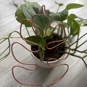 Réz monstrea körülölelő, Otthon & Életmód, Dekoráció, Virágdísz és tartó, Virágtartó, Fémmegmunkálás, MESKA