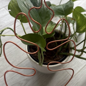 Réz monstrea körülölelő - otthon & életmód - dekoráció - virágdísz és tartó - virágtartó - Meska.hu Réz monstrea körülölelő - otthon & életmód - dekoráció - virágdísz és tartó - virágtartó - Meska.hu