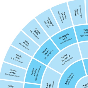 Személyre szabható 5 generációs családfa, választható pasztell színekben, legyeződiagram formában, A3-as méretben - művészet - grafika & illusztráció - digitális - Meska.hu