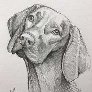  kutya portré rajzolás / skiccelt portré / A5 lapméret / 1 személyes / Ajándékozz skiccelt portrét - Meska.hu