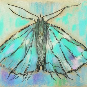 Tanulmány - pillangó - Meska.hu