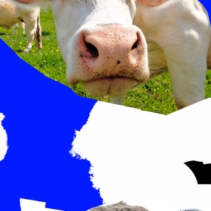 Granja de ganado poster - művészet - grafika & illusztráció - digitális - Meska.hu