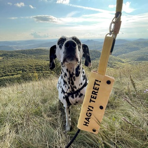 hagyj teret pórázfelirat reaktív kutyusoknak - otthon & életmód - kisállatoknak - kutyáknak - kutya póráz - Meska.hu