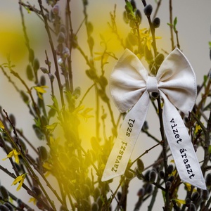 Tavaszi szél tavaszi masni, Otthon & Életmód, Dekoráció, Fali és függő dekoráció, Függődísz, Varrás, MESKA