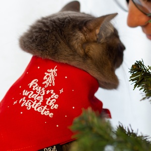 kiss me under the mistletoe kutya/cica kendő - otthon & életmód - kisállatoknak - kutyáknak - kutya ruházat - Meska.hu