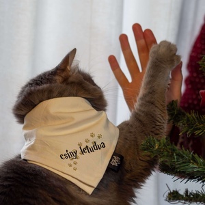 csíny letudva kutya/cica kendő, Otthon & Életmód, Kisállatoknak, Kutyáknak, Kutya ruházat, Varrás, MESKA