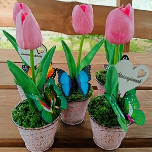 Apró kezekbe tulipános ajándék, Otthon & Életmód, Dekoráció, Asztal és polc dekoráció, Asztaldísz, Virágkötés, MESKA