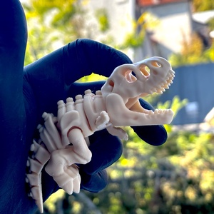 Flexi T-Rex dinoszaurusz figura - Mozgatható gerincű 3D nyomtatott T-Rex csontváz, fidget játék és asztali dísz, 12 cm, Otthon & Életmód, Dekoráció, Dekoratív figurák és szobrok, Újrahasznosított alapanyagból készült termékek, MESKA