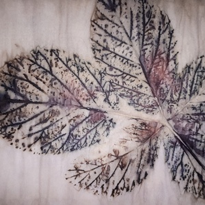 ecoprint technikával készített papír - otthon & életmód - dekoráció - kép & falikép - kép & falikép - Meska.hu