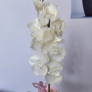 Orchidea kaspóban - otthon & életmód - dekoráció - virágdísz és tartó - csokor & virágdísz - Meska.hu