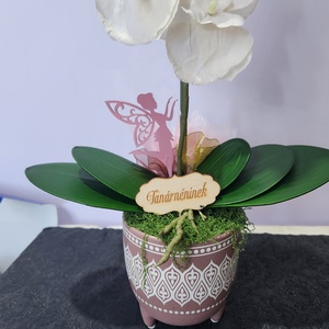 Orchidea kaspóban - otthon & életmód - dekoráció - virágdísz és tartó - csokor & virágdísz - Meska.hu